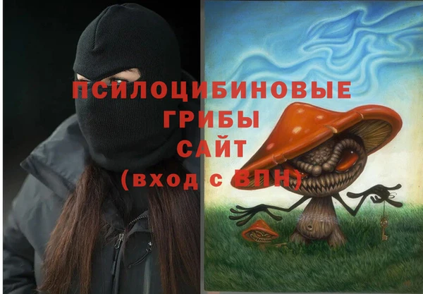 apvp Краснотурьинск