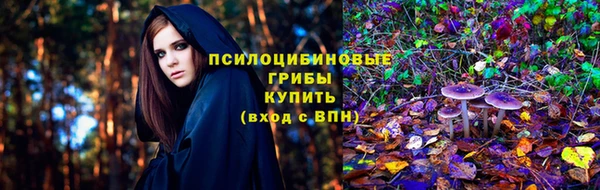 apvp Краснотурьинск