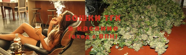 индика Кодинск