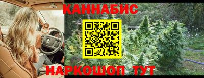 наркотики Сланцы
