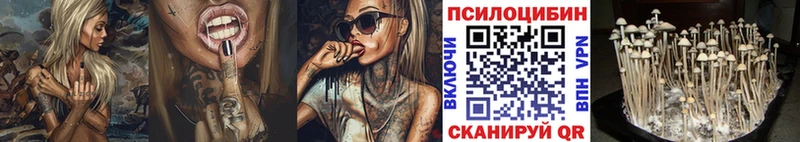 Псилоцибиновые грибы мицелий  мега зеркало  Нурлат  где найти  