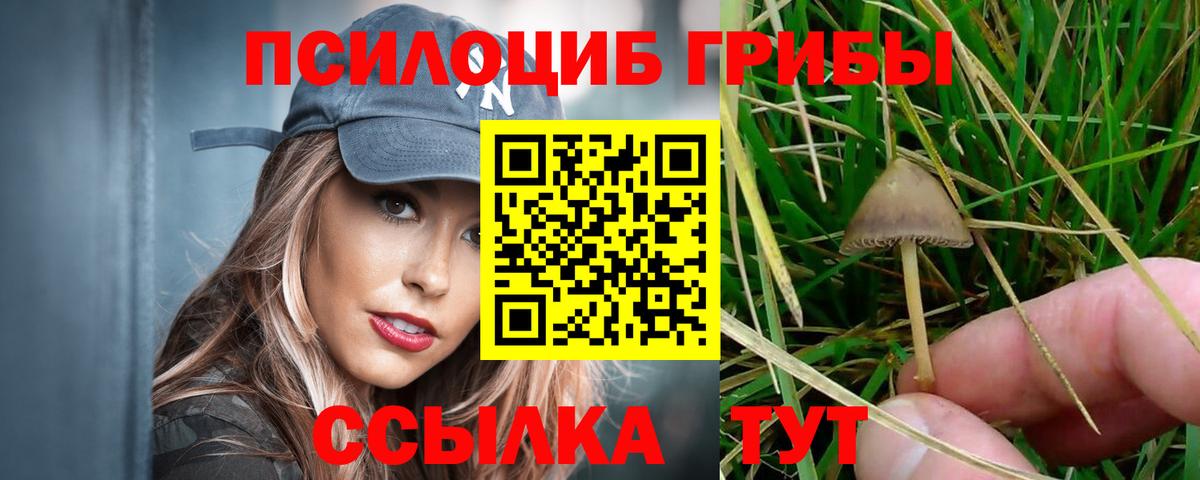 Нурлат  Псилоцибиновые грибы Magic Shrooms  Вход с VPN 