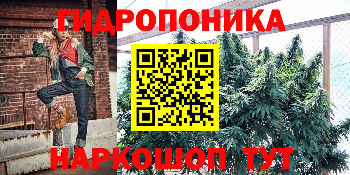 Бошки марихуана Bruce Banner Нурлат